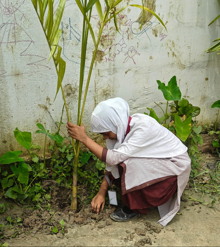 Environmental Awareness